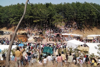 [대가야체험축제]2009년 이전 축제 사진